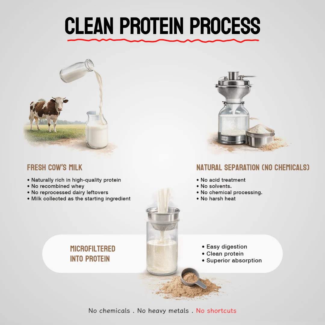 Clean Protein | Performance Whey | Free Premium Shaker - Image 6
