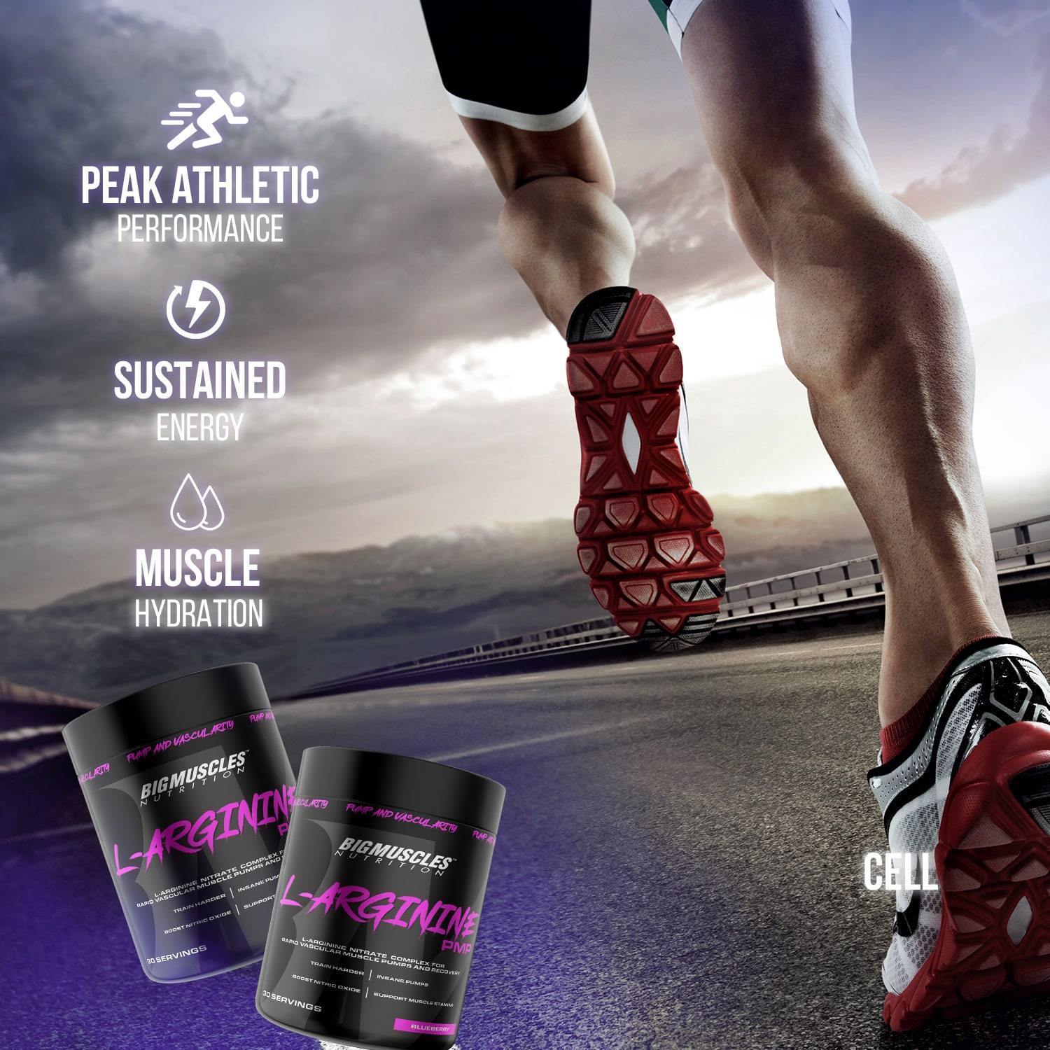 L-Arginine PMP Powder - Image 10