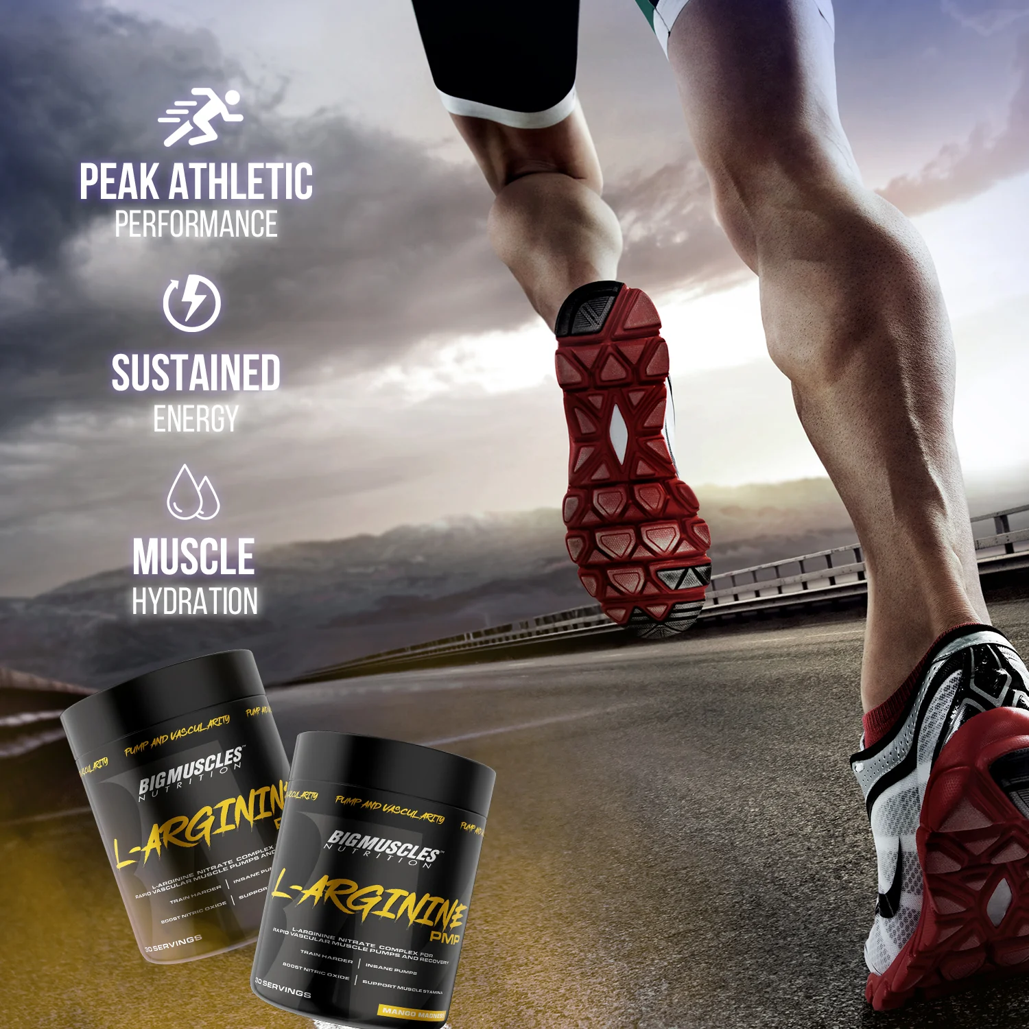 L-Arginine PMP Powder - Image 16