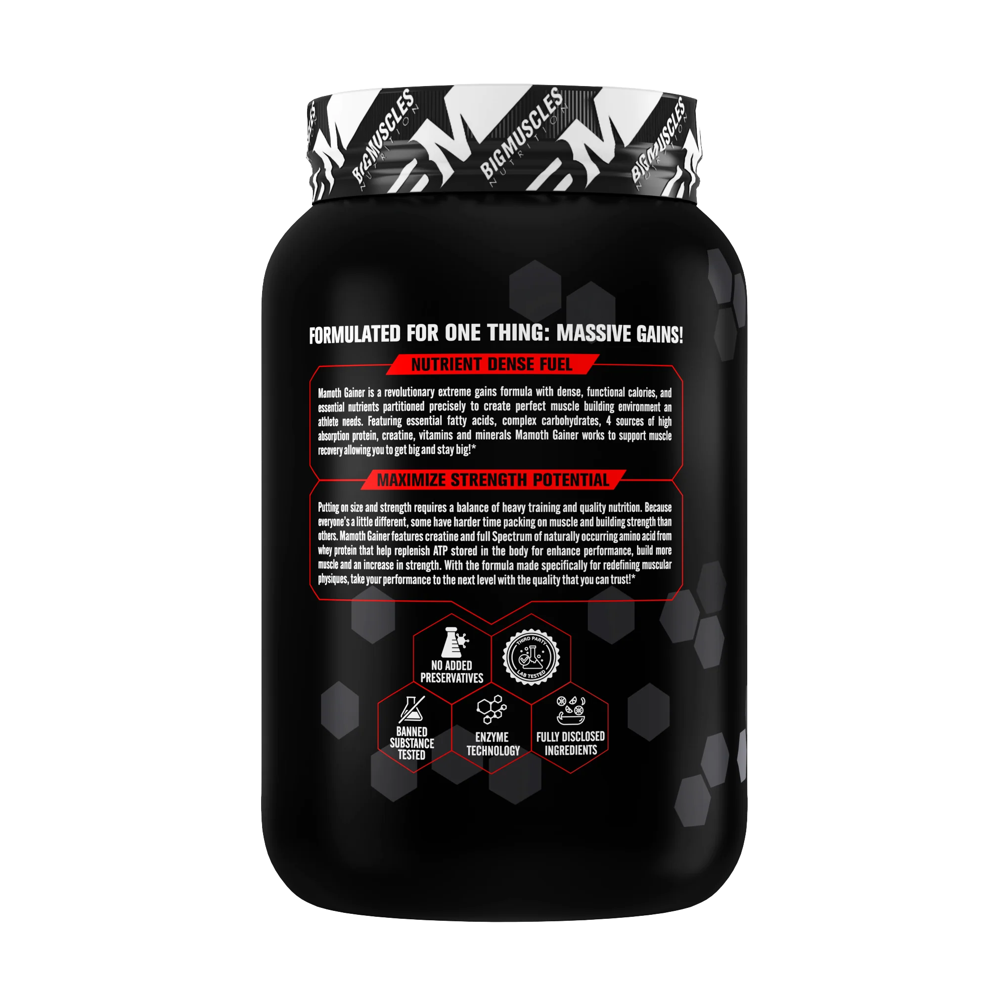 Mamoth Gainer - Image 11