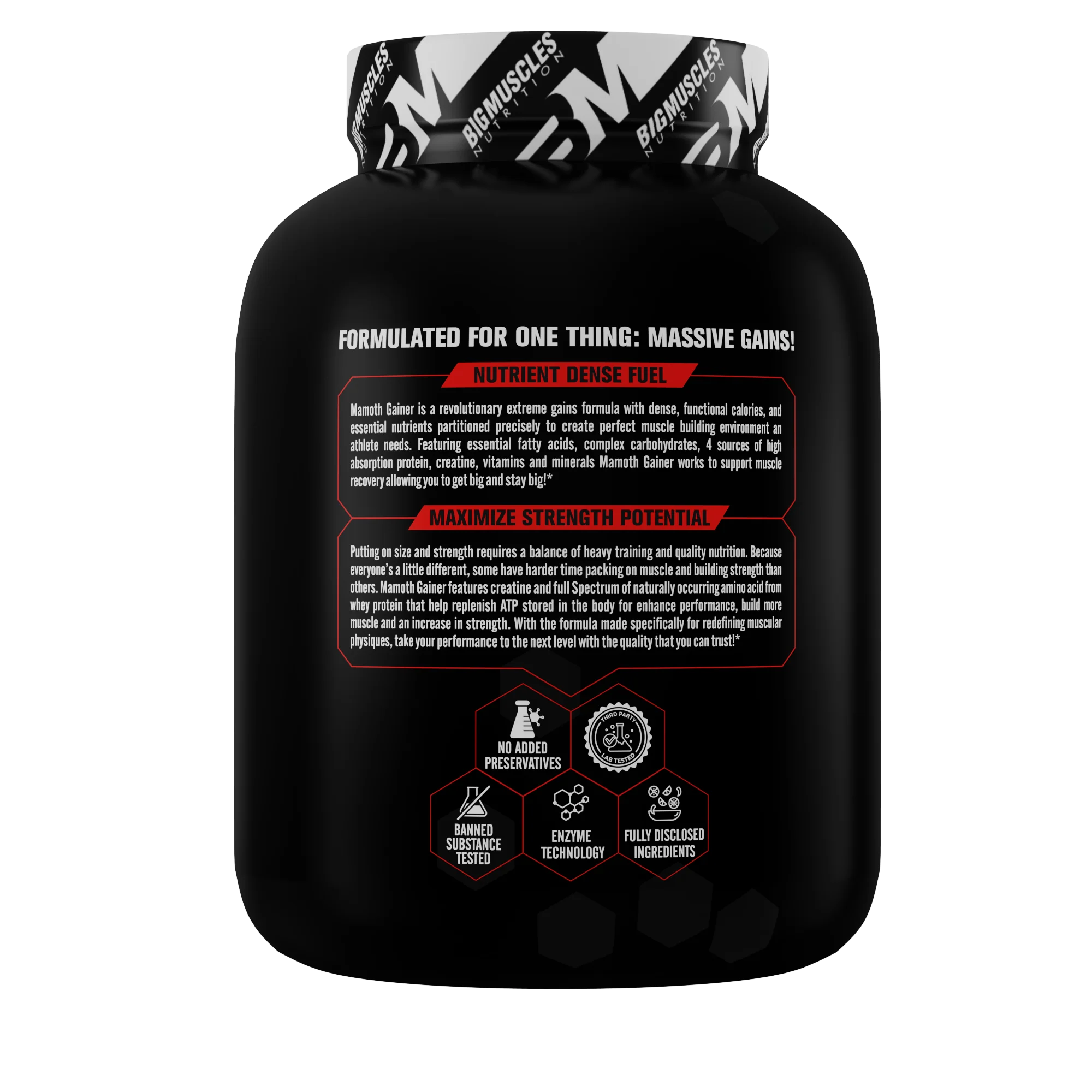 Mamoth Gainer - Image 19