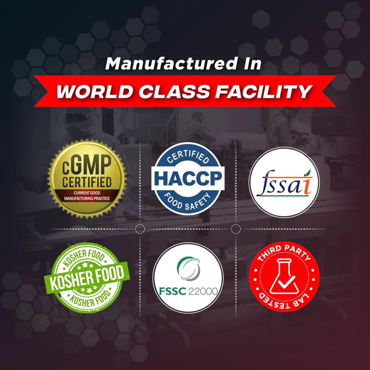 Mamoth Gainer - Image 4