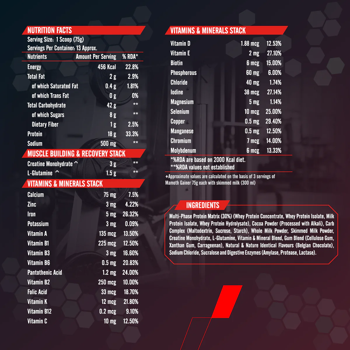Mamoth Gainer - Image 5