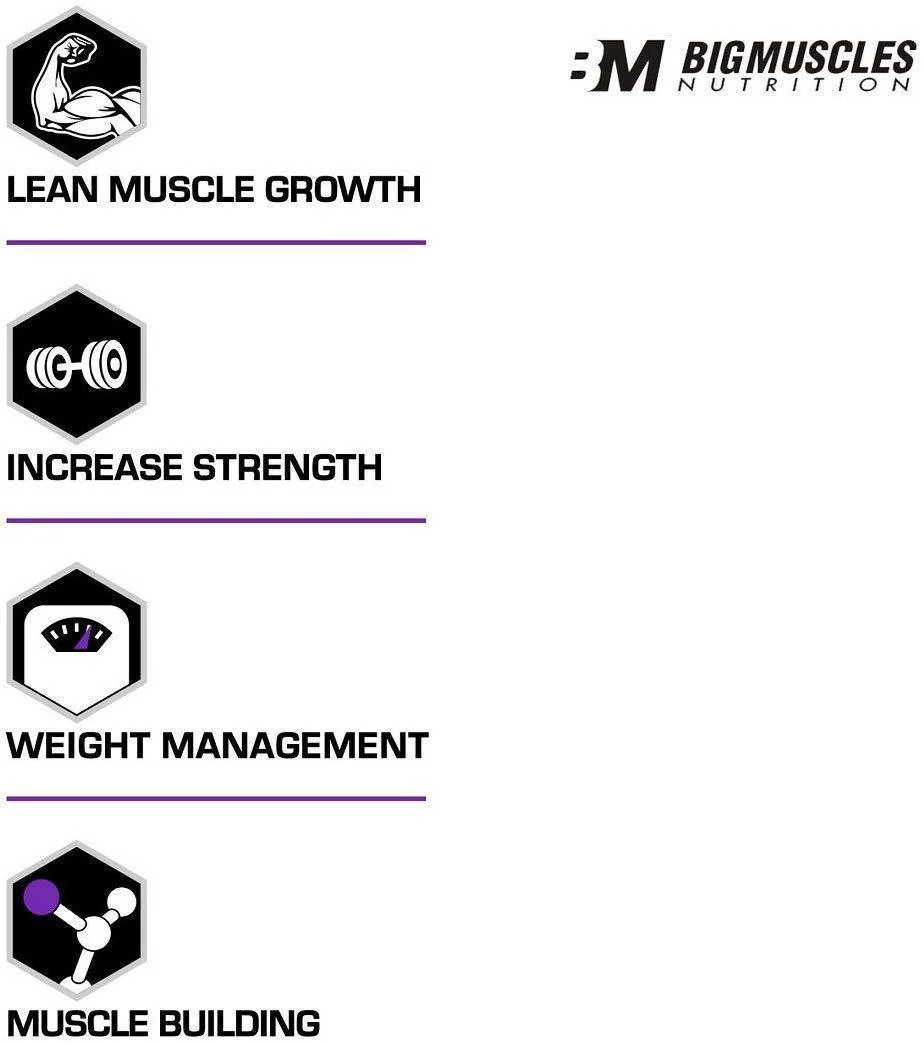 Quick Mass Gainer - Image 4